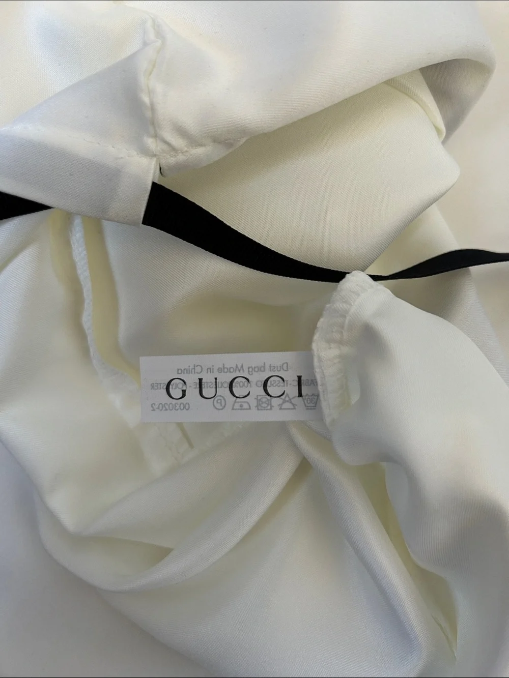 Gucci pair dust